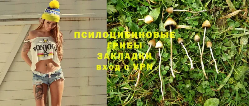 Псилоцибиновые грибы Magic Shrooms Семикаракорск